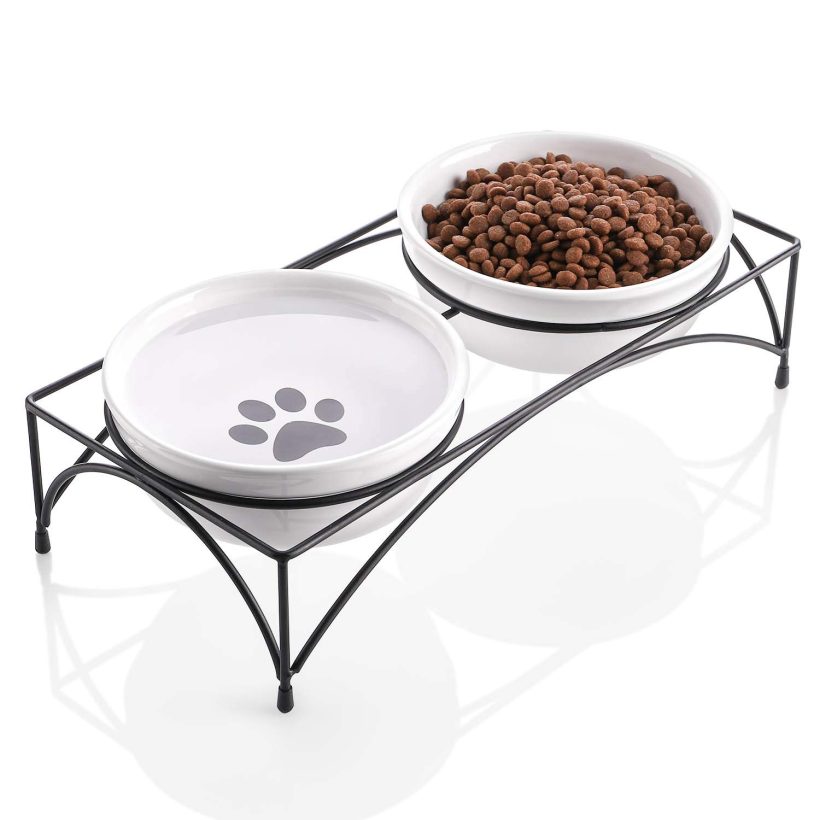 Elevated Cat Bowls with Stand for Food and Water