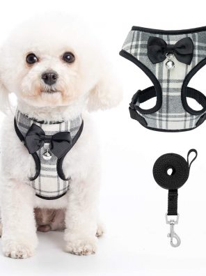 PUPTECK Small Dog Harness and Leash Set