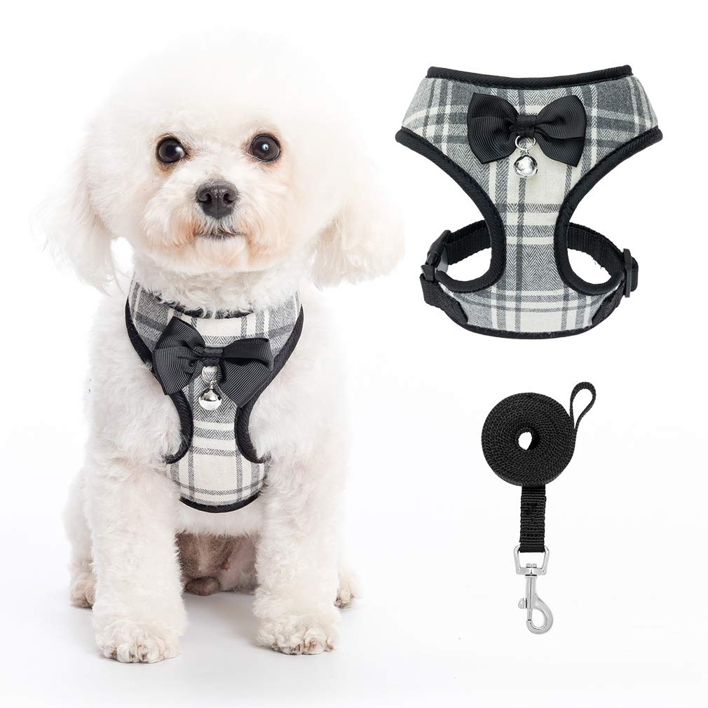 PUPTECK Small Dog Harness and Leash Set