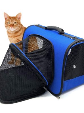 Cat Travel Bag Capsule Transparent Clear Bubble
