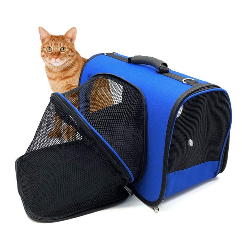 Cat Travel Bag Capsule Transparent Clear Bubble