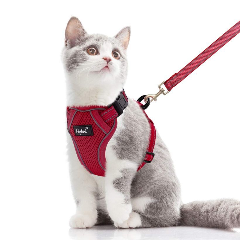 Reflective Cat Harness and Leash Set