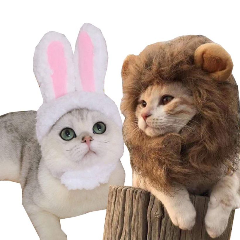 Cats Wig Costume for Cat Costume Bunny Rabbit Hat Headwear