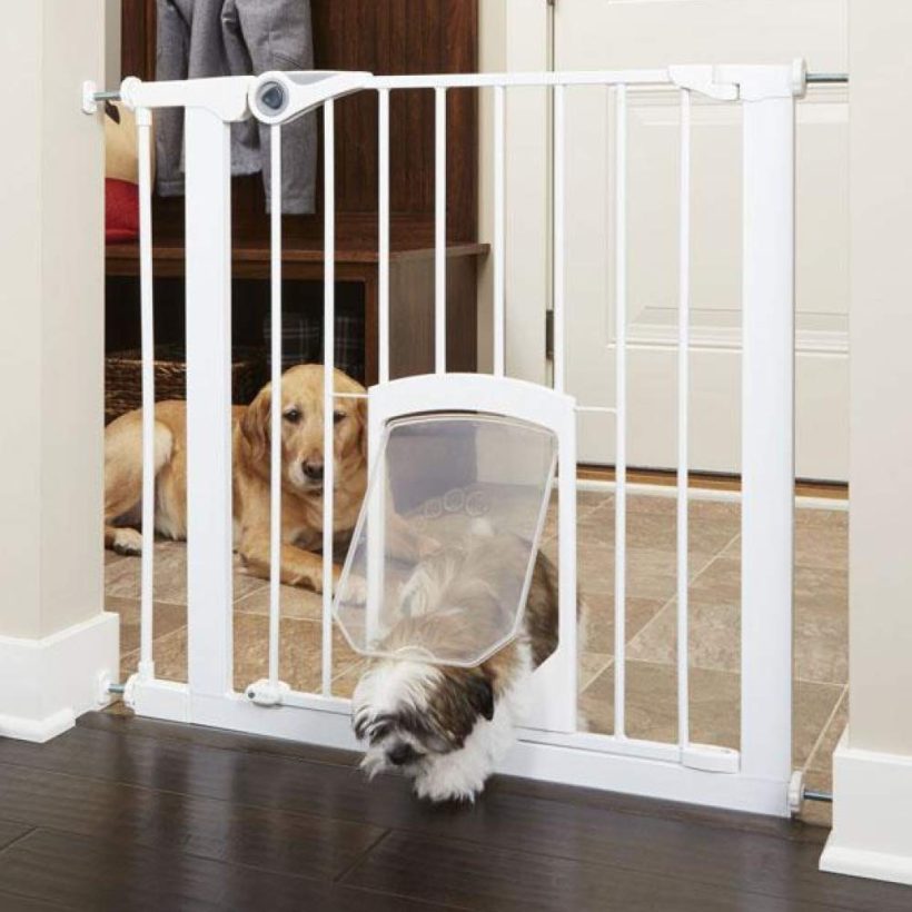 ecure gate with small lockable pet door