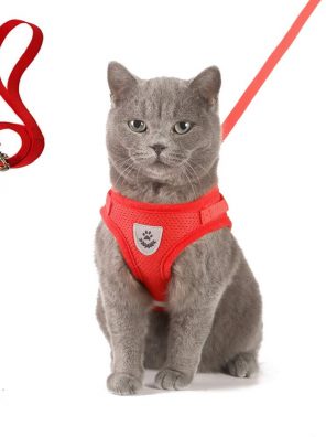 Cat Harness and Leash Sets for Walking Escape Proof