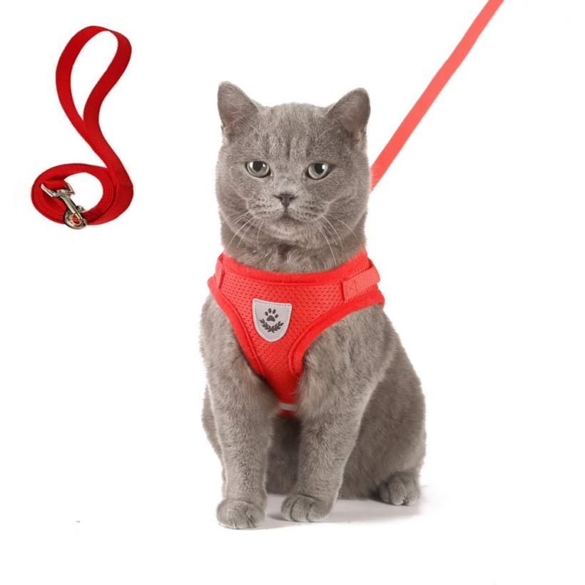 Cat Harness and Leash Sets for Walking Escape Proof