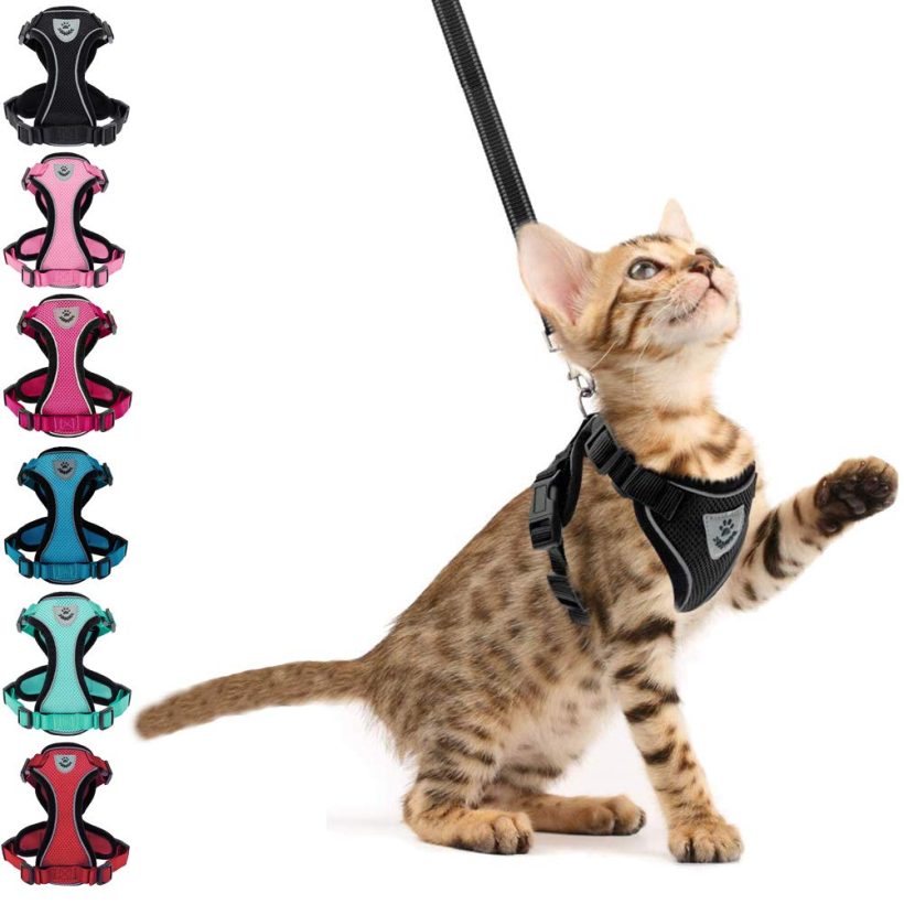 Cat Harness and Leash - Walk in Style and Safety with Your Feline Friend