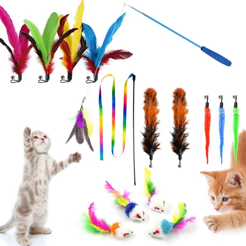 Jolbndcv 16 PCS Cat Wand Toy Set