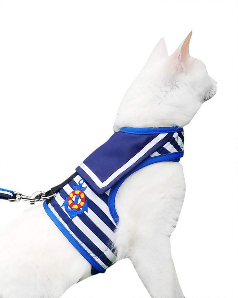 Cat Harness with Leash Extra Large Walking Jacket