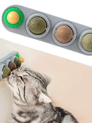 Edible Cat Nip Treat Toy for Kitten to Lick Safely
