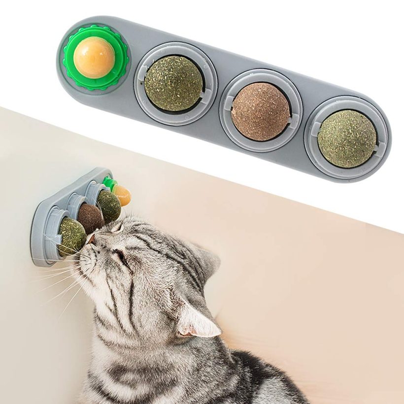 Edible Cat Nip Treat Toy for Kitten to Lick Safely