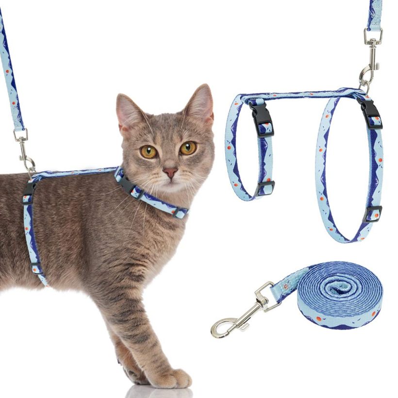 SCENEREAL Cat Harness and Leash Set