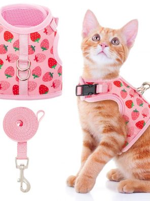 Pink Strawberry Cat Harness and Leash Set Proof Cat Walking Harness