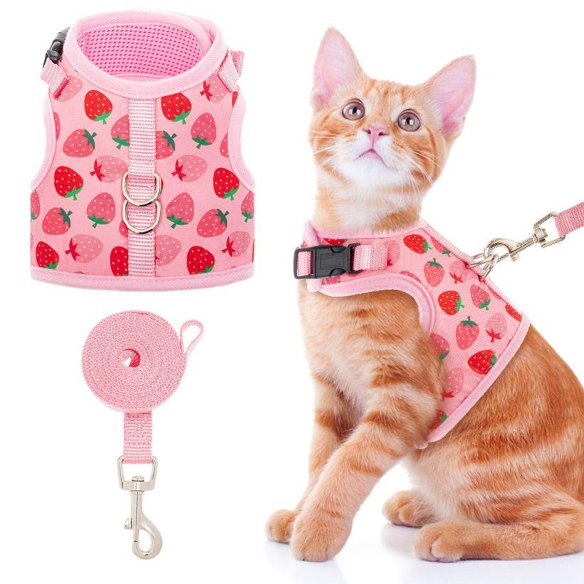 Pink Strawberry Cat Harness and Leash Set Proof Cat Walking Harness