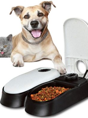 Cat Dog Feeder with Digital Timer Single Bowl Feeding Machine