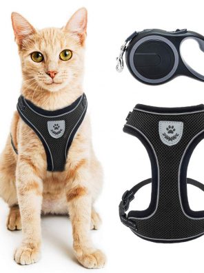 Cat Harness Reflective Mesh Walking Vest with Adjustable 16.5ft Leash