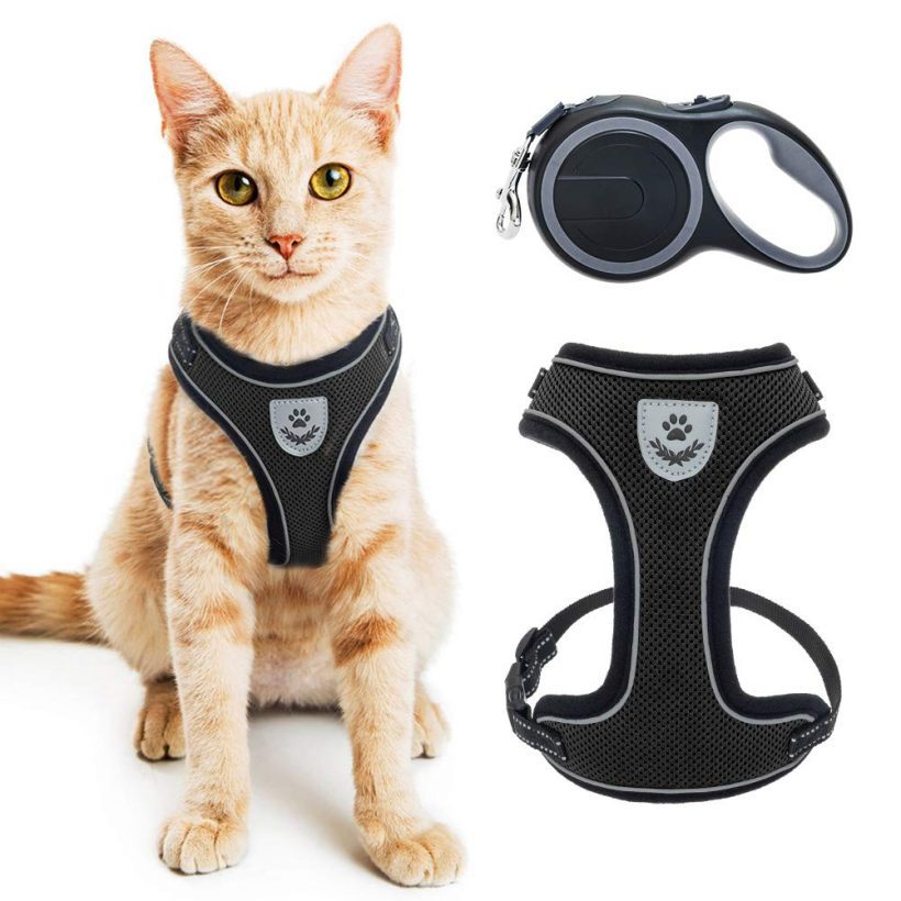 Cat Harness Reflective Mesh Walking Vest with Adjustable 16.5ft Leash