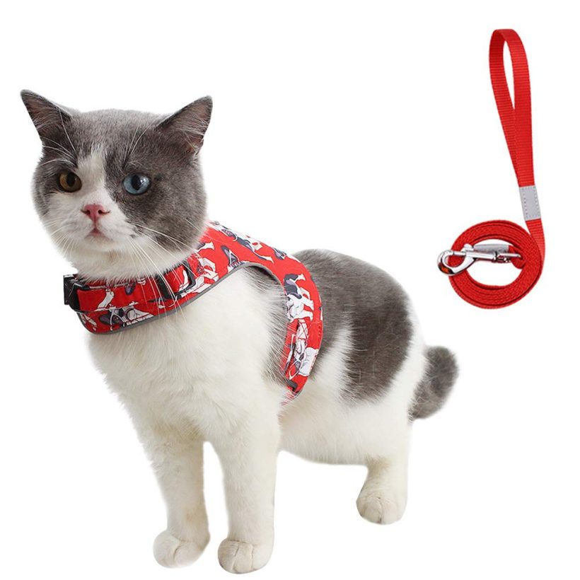 Cat Harness and Leash Set Adjustable Vest Harness Soft Mesh