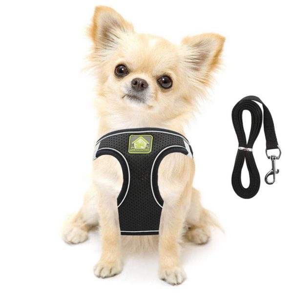 FEimaX Dog Harness and Leash Set