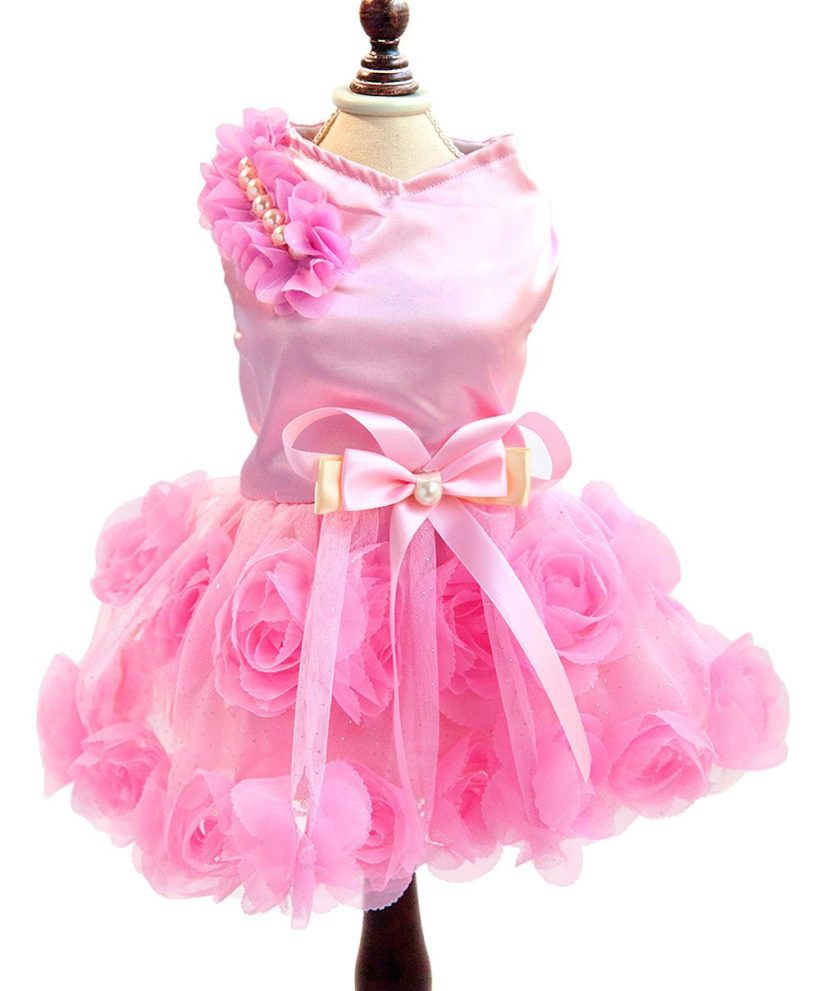 Cats Birthday Party Costume Satin Rose Pearls Girl