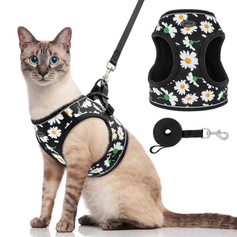 Vest Cat Harness and Leash Set Reflective Edge