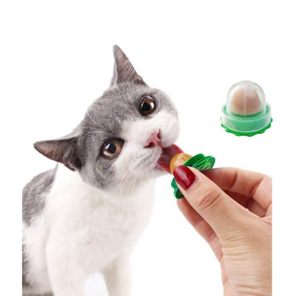 4 Pack Cat Snacks Candy Ball, Catnip Toys Cat