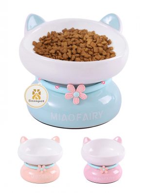 Ceramic Tilted Elevated Cat Bowl Raised Food and Water