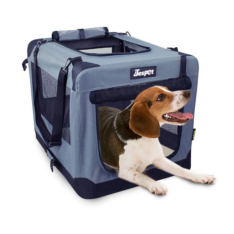 Cats Door Soft Sided Folding Travel Pet Carrier