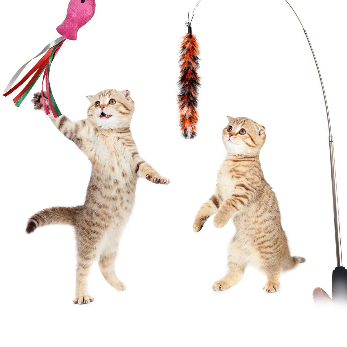 Cat Toys Set Catnip Fish & Feather Strip