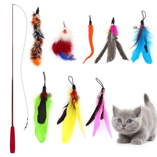 Handmade Natural Feather Cat Toy Da Bird Refills Best Reviews 🐈 ...