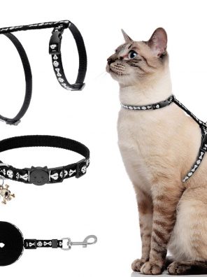Cat Harness with Leash and Collar Set