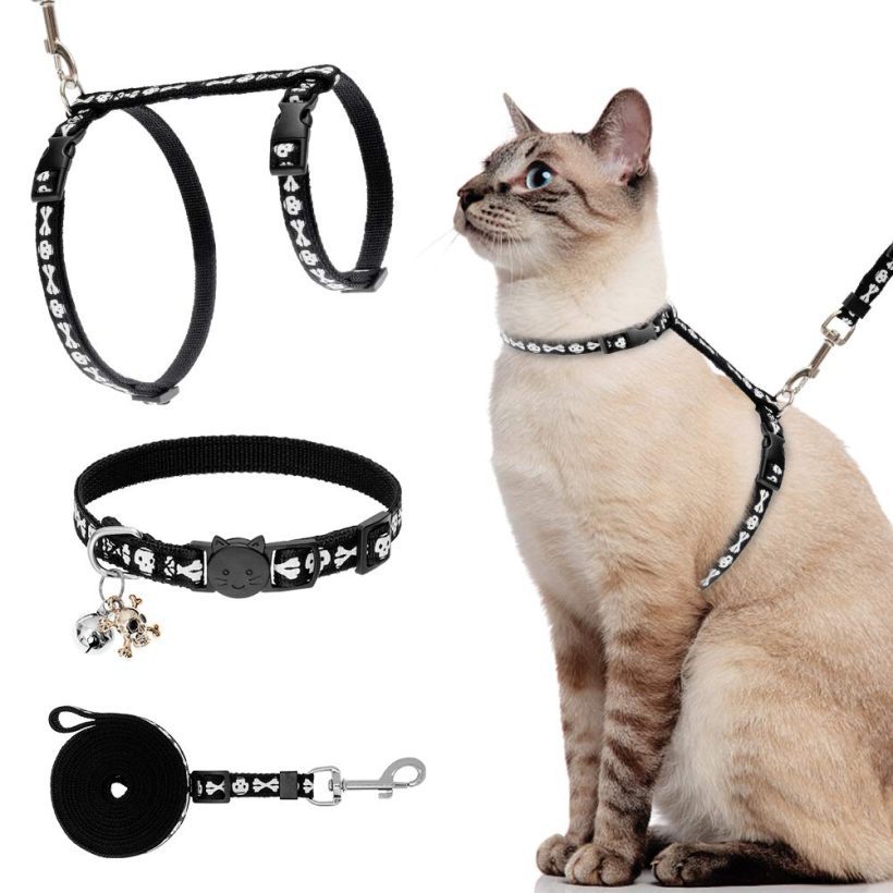 Cat Harness with Leash and Collar Set