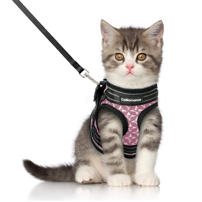 Cat Harness and Leash Escape Proof Reflective Strips