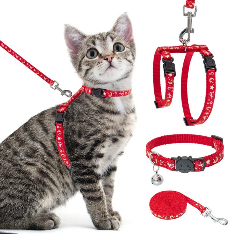 Cat Harness with Leash and Collar Set