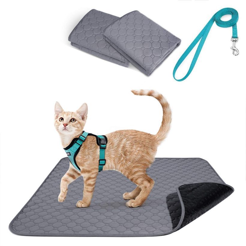 rabbitgoo Cat Harness and Leash, Dog Potty Training Pee Pads