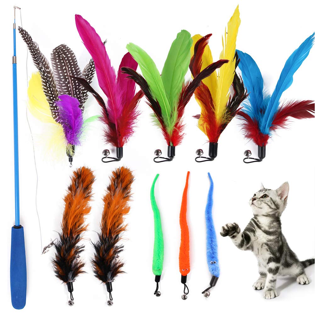 ZYHOOOE Interactive Cat Feather Toy,Retractable Cat Toys Wand with 10pcs Refills,Cat Feather Fishing Pole Toys Funny Exercise for Indoor Cat and Kitten