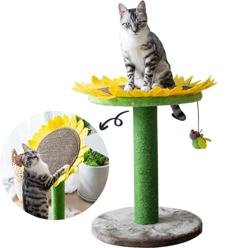 Catry Cat Tree Bed with Scratching Post