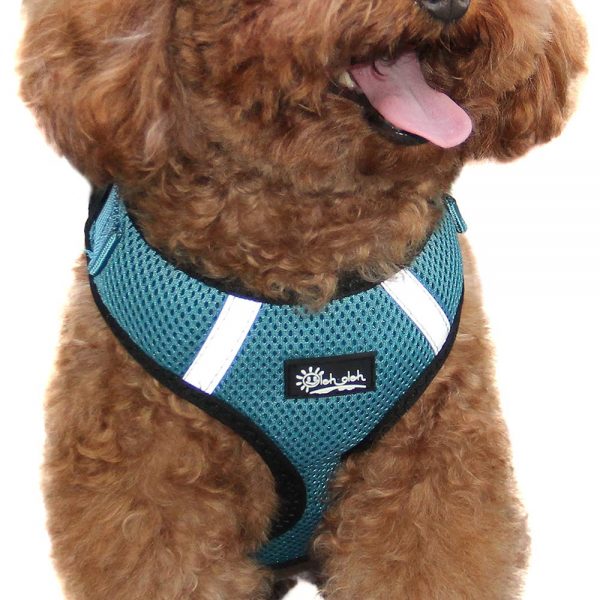 Adjustable and Comfortable Step-in Air Pet Harness