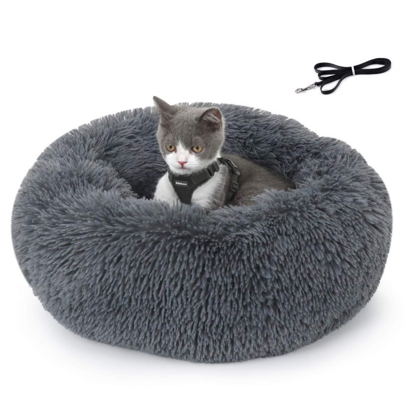 Soft Plush Bed & Cat Harness and Leash Set