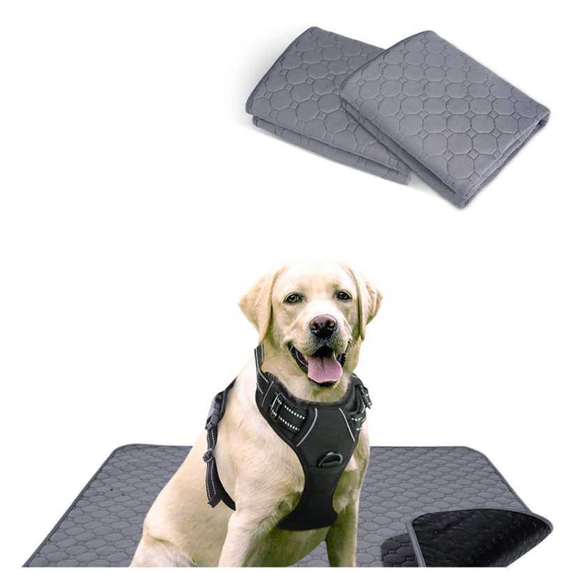 rabbitgoo Dog Harness, Dog Potty Training Pee Pads