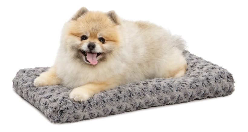 MidWest Homes for Pets Deluxe Dog Beds