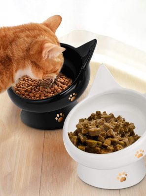 Cat Bowl,Raised Cat Food Bowls Anti Vomiting