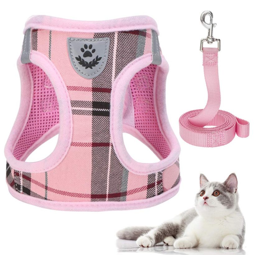 Escape Proof Cat Harness and Leash Set Medium and Large Kitties