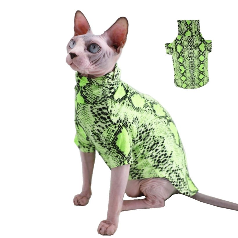 Limited Edition Cool Sphynx Hairless Cat Summer Snake