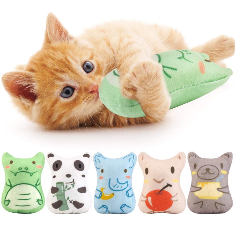 Dorakitten Catnip Toys for Indoor Cats