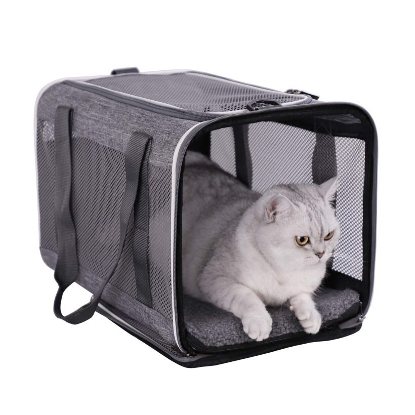 Cats Carrier for Large and Medium