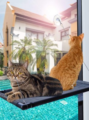 Premium Metal Cat Window Hammock Perch Cat Bed