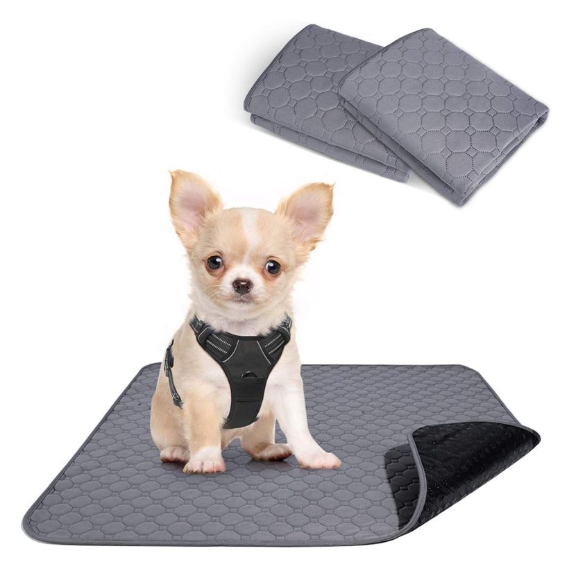 rabbitgoo Dog Harness, Dog Potty Training Pee Pads