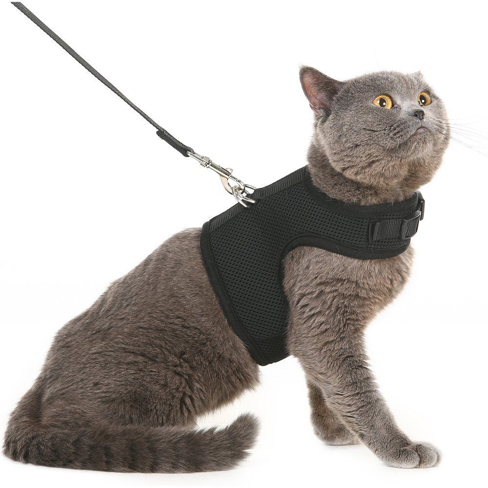 Cat Soft Mesh Dog Vest Harness