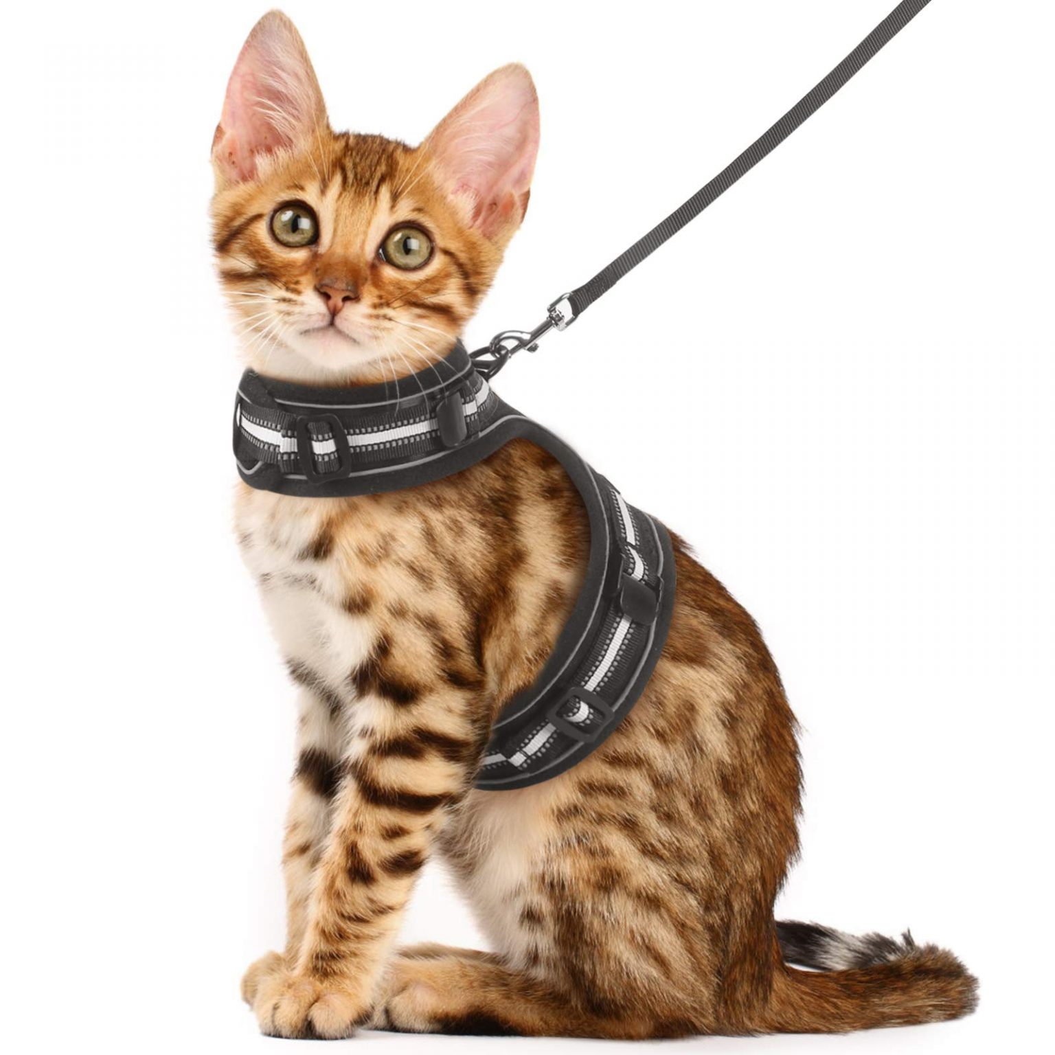 Cat Harness and Leash for Walking Escape Proof Review Price